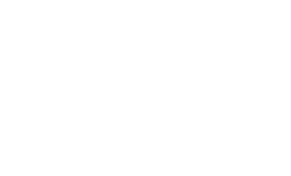 The Fans